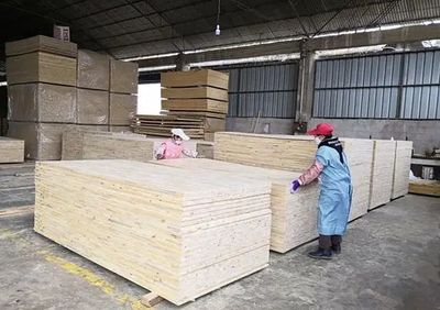 優化營商環境助力企業發展 荊州區一企業實現外貿出口“破零”，木材銷售邁向國際市場